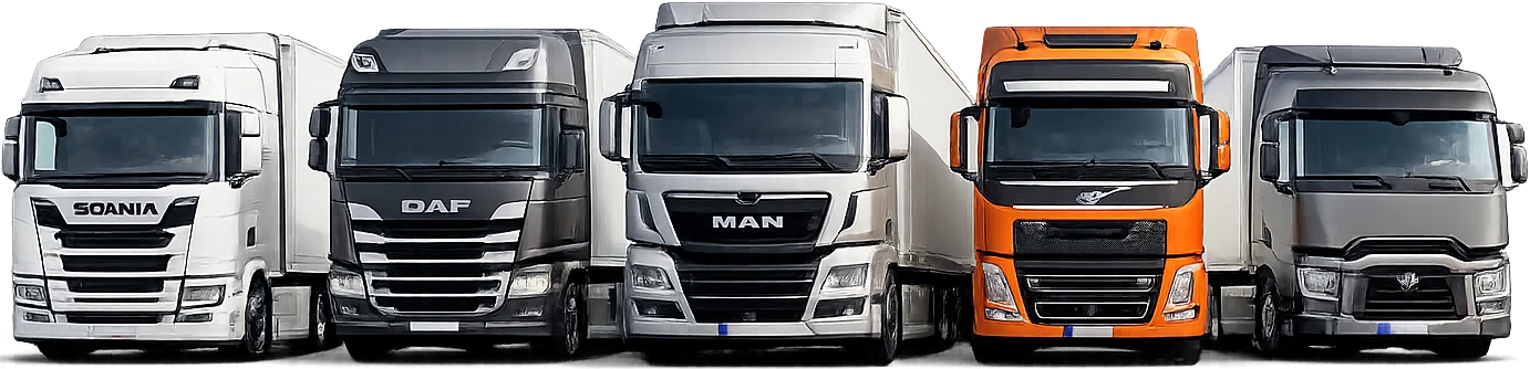 SouthMed Trans SAS modern tautliner fleet for European freight and logistics services